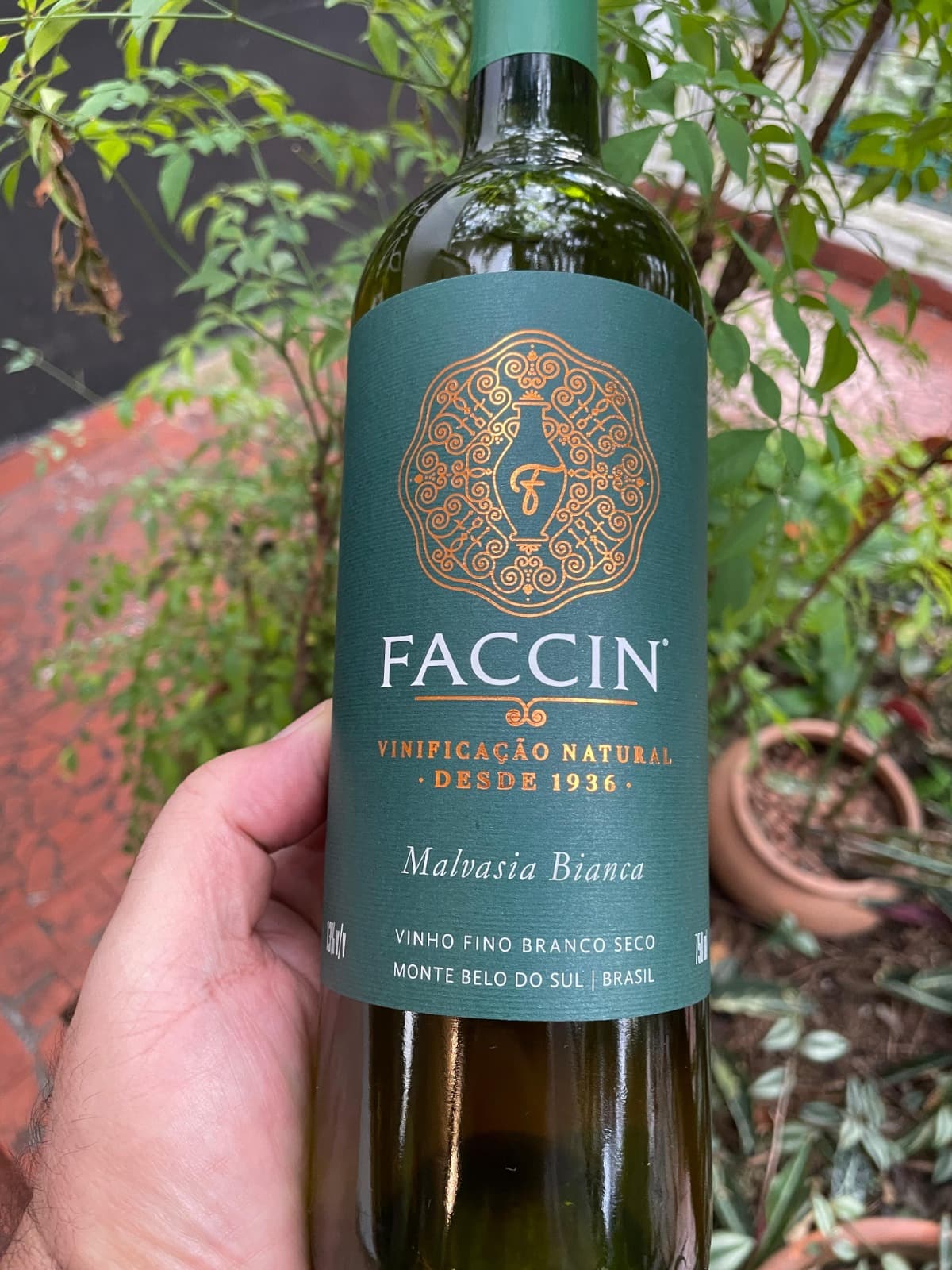 Vinho Natural Faccin - Malvasia Bianca 2025