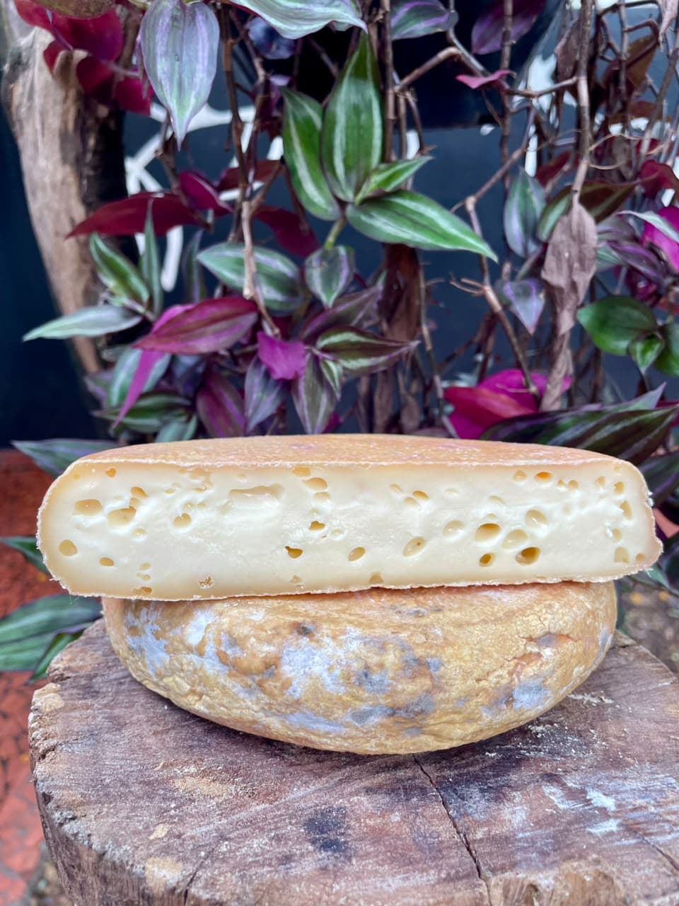 ALVORADA