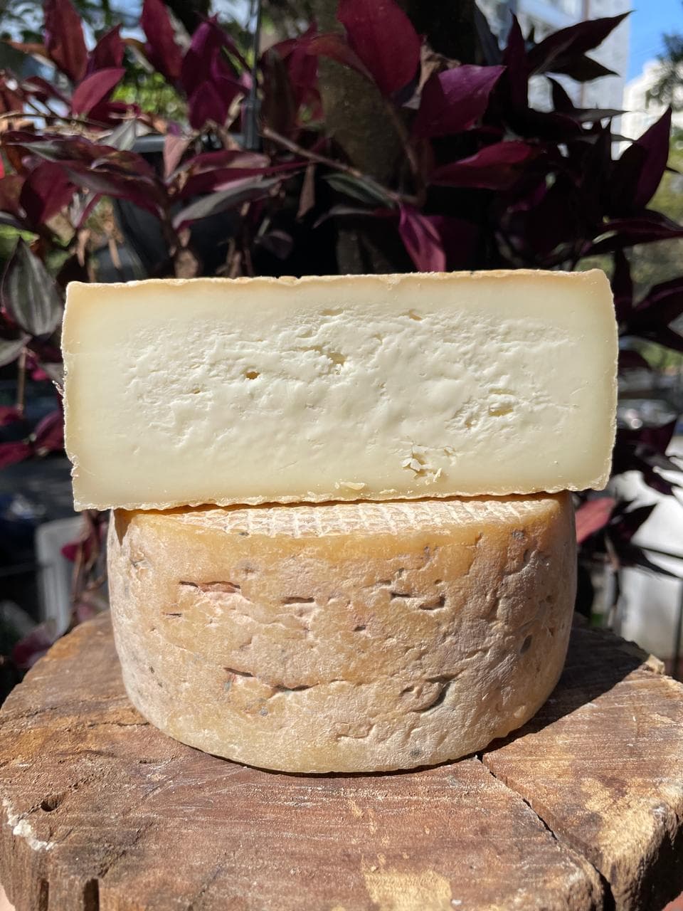VALE DO RIBEIRA